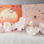 Which Japanese Snack Box is Better?